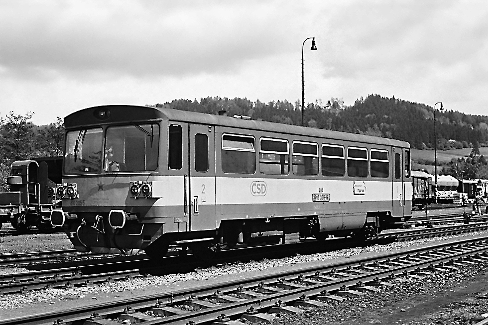 810 205-5