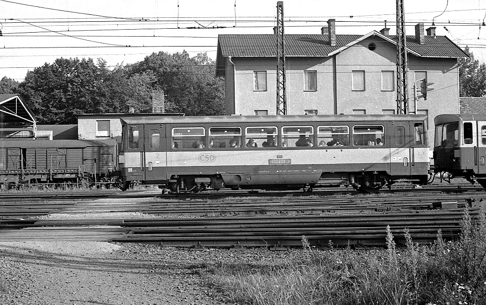 810 208-9