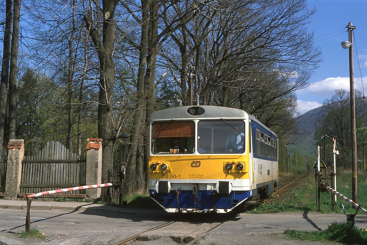 810 245-1