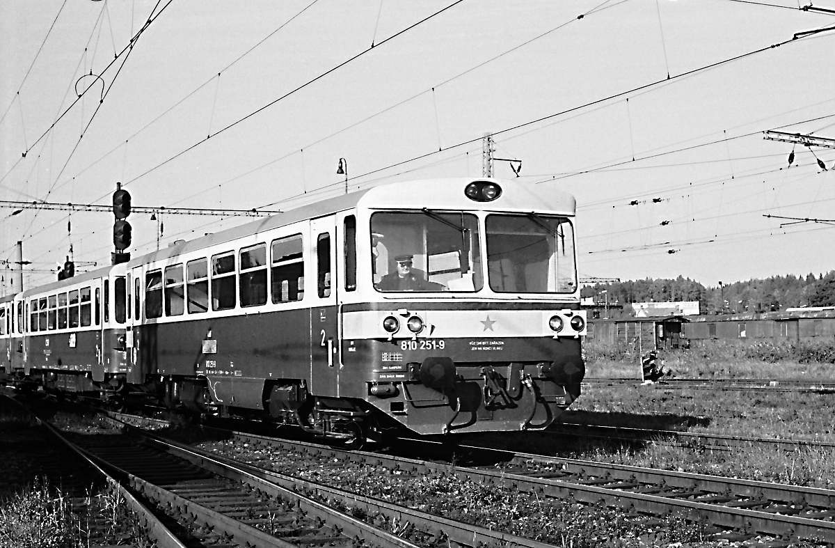 810 251-9