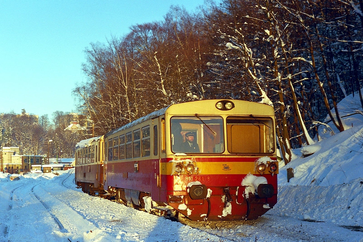 810 261-8