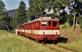 831 226-6