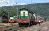 770 081-8