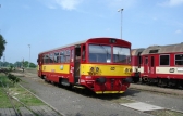 809 281-9