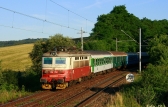 242 251-7