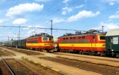 242 229-3