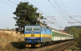 363 (ex.ES499.1)