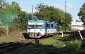 809 495-5