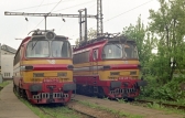 240 031-5