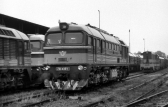781 436-1