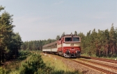 753 384-7