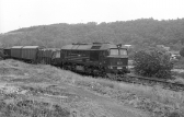 T679.1559