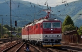 361 (reko 163)