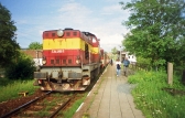 735 248-7
