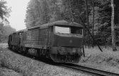 T478.1134