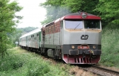 751 219-7
