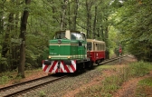710 682-6