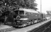 781 326-4