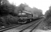781 480-9