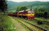 781 556-6