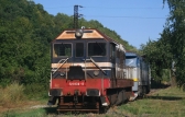 721 039-6