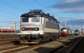 242 558-5