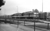 T679.1264