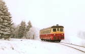 831 199-5