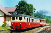 831 199-5