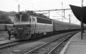 S499.0066
