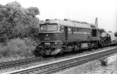 781 596-2