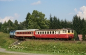 831 183-9