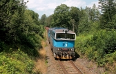 753 772-3