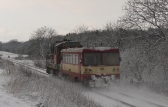810 444-0