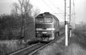 T679.1268