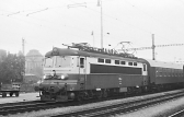 S499.0263
