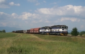756 004-8