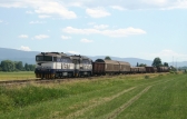 756 005-5