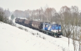 743 010-1