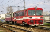 812 019-8