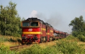 753 141-1