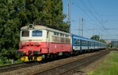 242 247-5