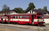 810 257-6
