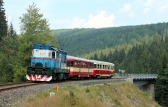 743 002-8