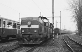 T444.0248