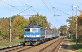 242 277-2