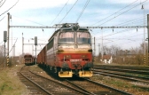 230 007-7