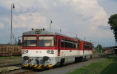 813 006-8
