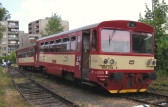 810 234-5