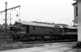 781 567-3